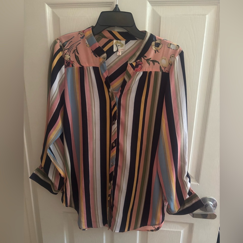 Fig and Flower Multicolor Striped Blouse